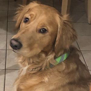 Meet your Posher, Renee